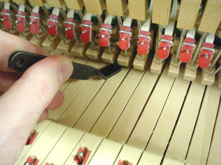 regulation1